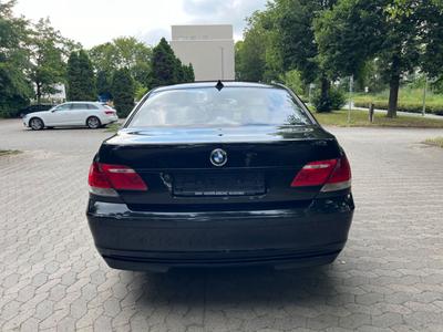 1763326368 321 78edea73 2f67 4681 9ae5 6ca6a9f1f5ad